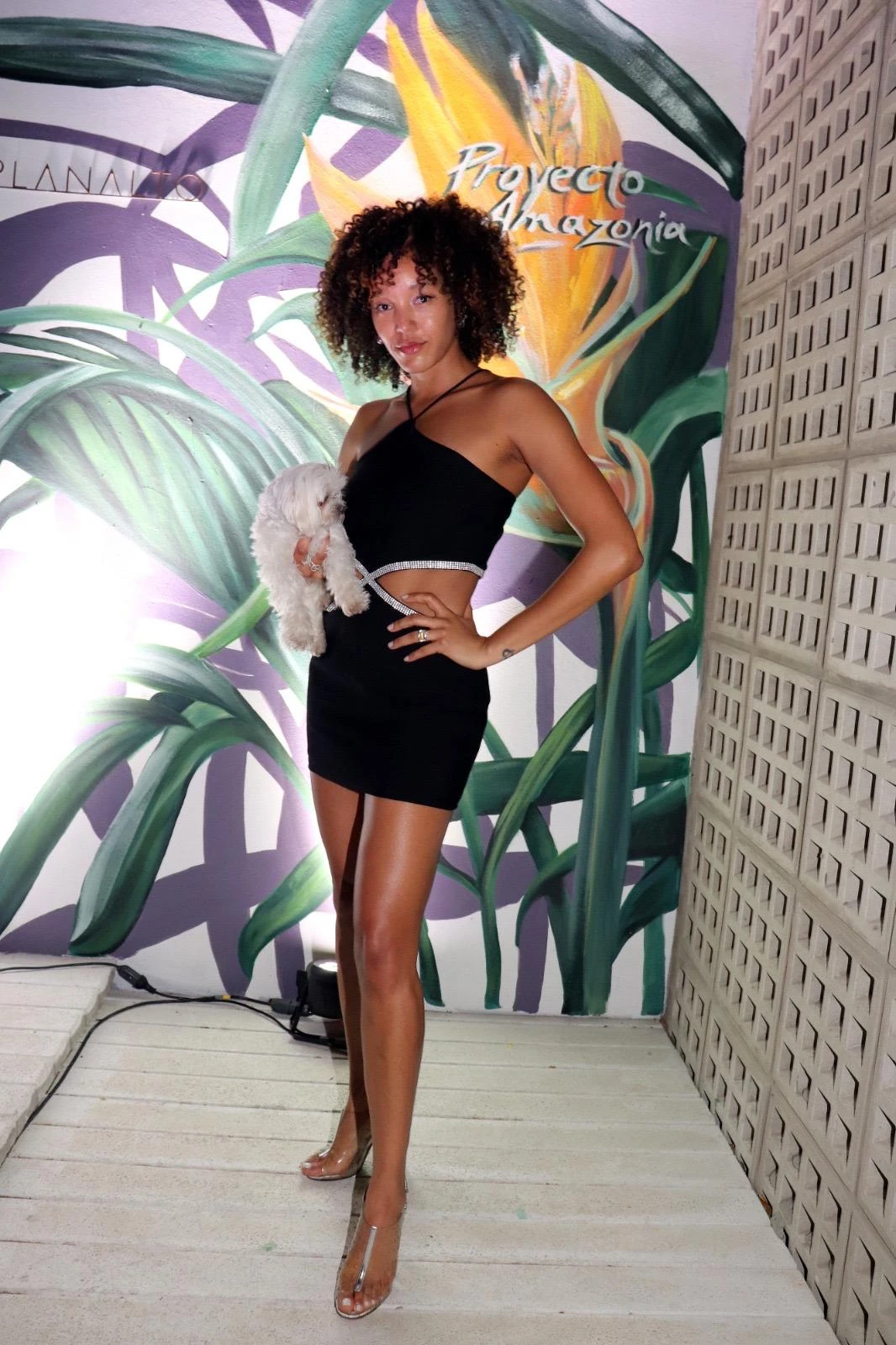 Gabriela Silva - evento Planalto Developments - Buenos Aires